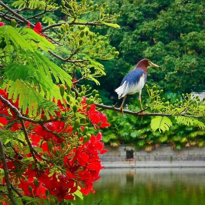 初夏吃什么好？